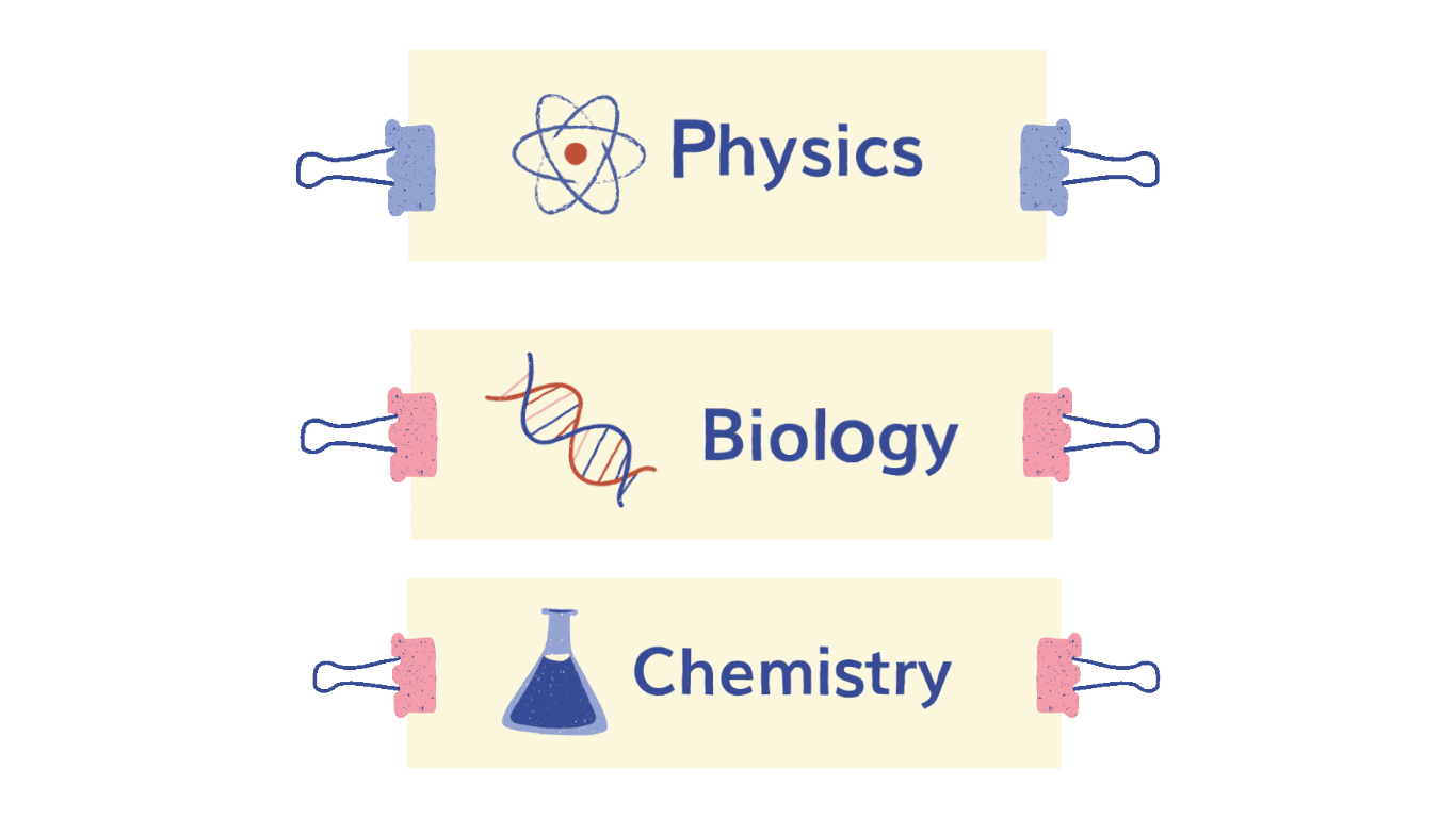 Science is divided into Physics, Chemistry, and Biology