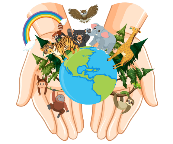 Nature Sketch Journal