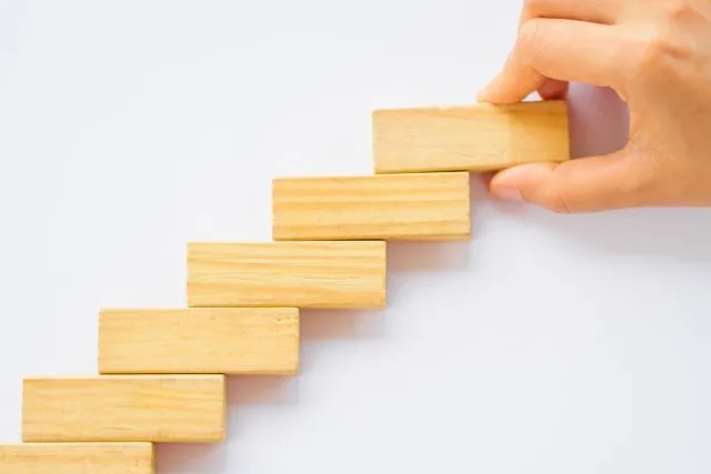 Foundation Program Online